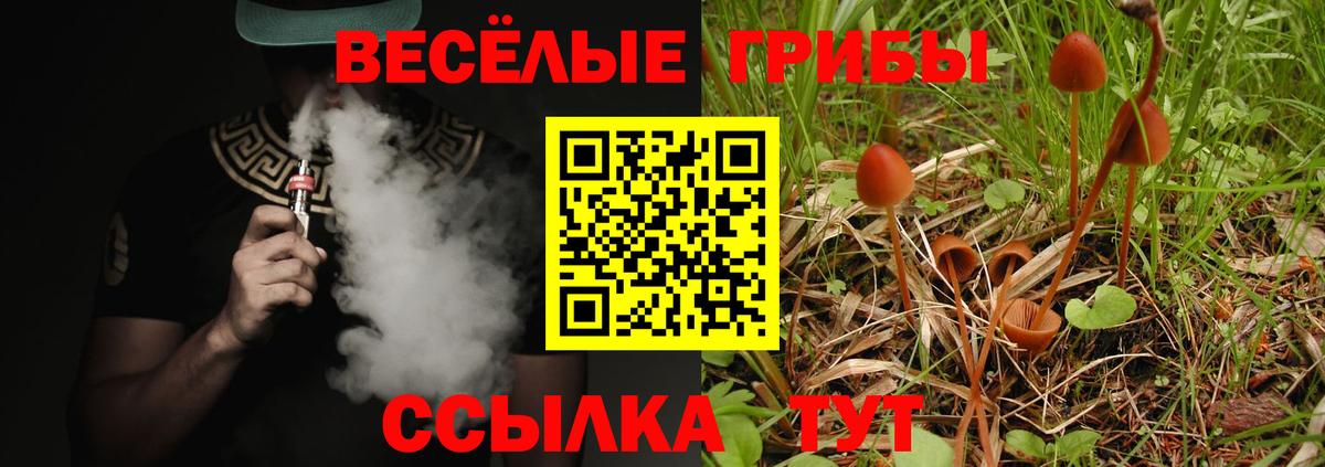 как найти закладки  Галлюциногенные грибы ЛСД  Вход с VPN  Можга 