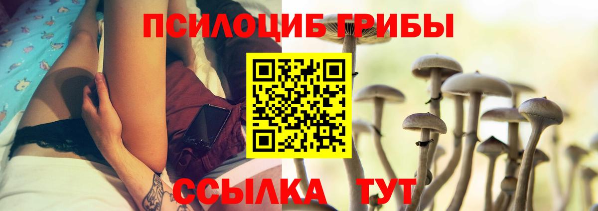 Галлюциногенные грибы Psilocybine cubensis Можга